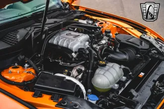 Mustang 17