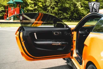 Mustang 19