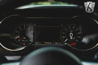 Mustang 21