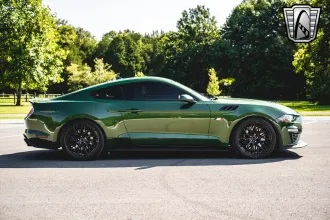 Mustang 7