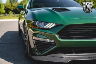 Mustang 11