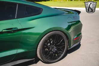 Mustang 13
