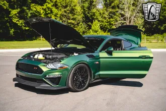 Mustang 16