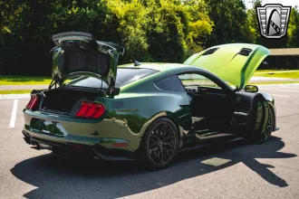 Mustang 17