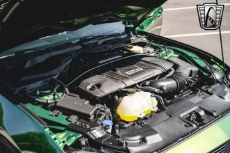 Mustang 18