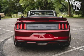 Mustang 5
