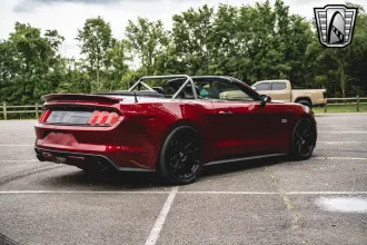 Mustang 6