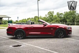 Mustang 7