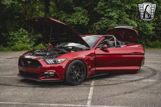 Mustang 14