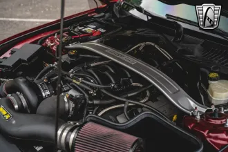 Mustang 17