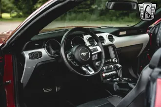 Mustang 19