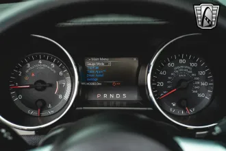 Mustang 21