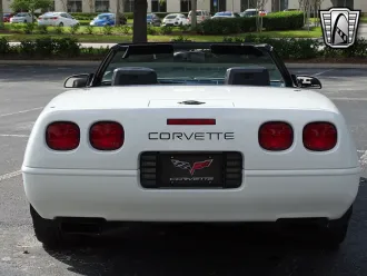 Corvette 6