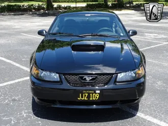 Mustang 5