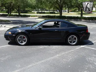 Mustang 11
