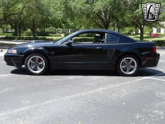 Mustang 12