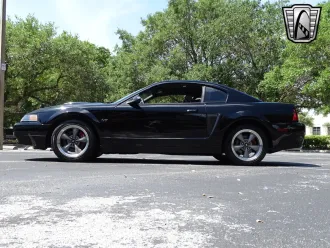 Mustang 13
