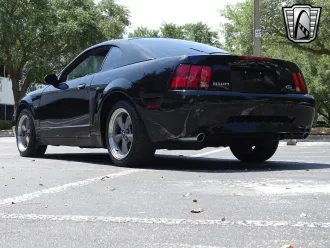 Mustang 16