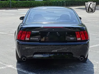 Mustang 17