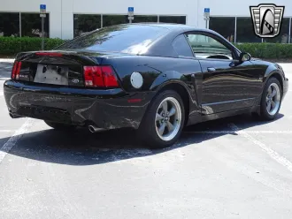 Mustang 21