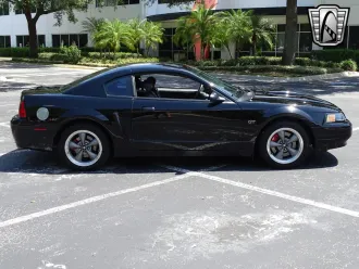 Mustang 23