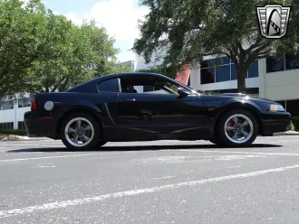 Mustang 25