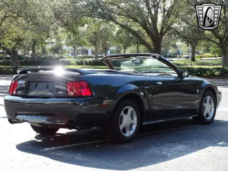 Mustang 7