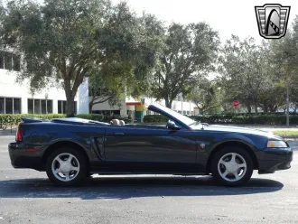 Mustang 8