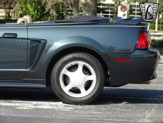 Mustang 10