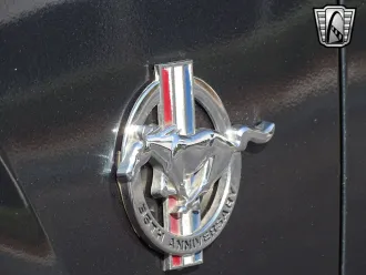 Mustang 14