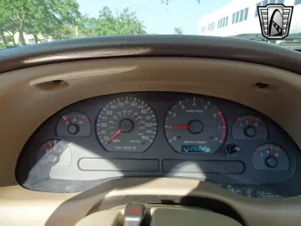 Mustang 18