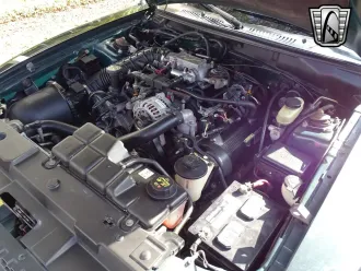 Mustang 21