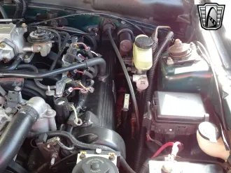 Mustang 23
