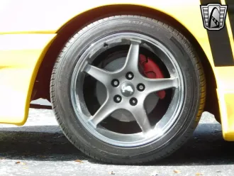 Mustang 11