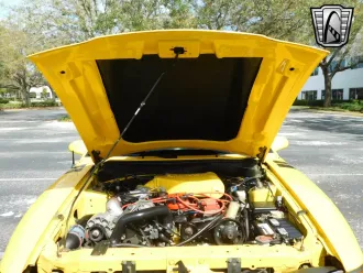 Mustang 21