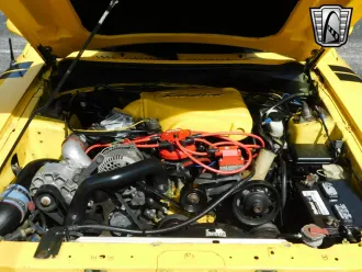 Mustang 23