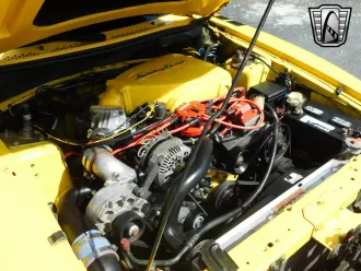 Mustang 24