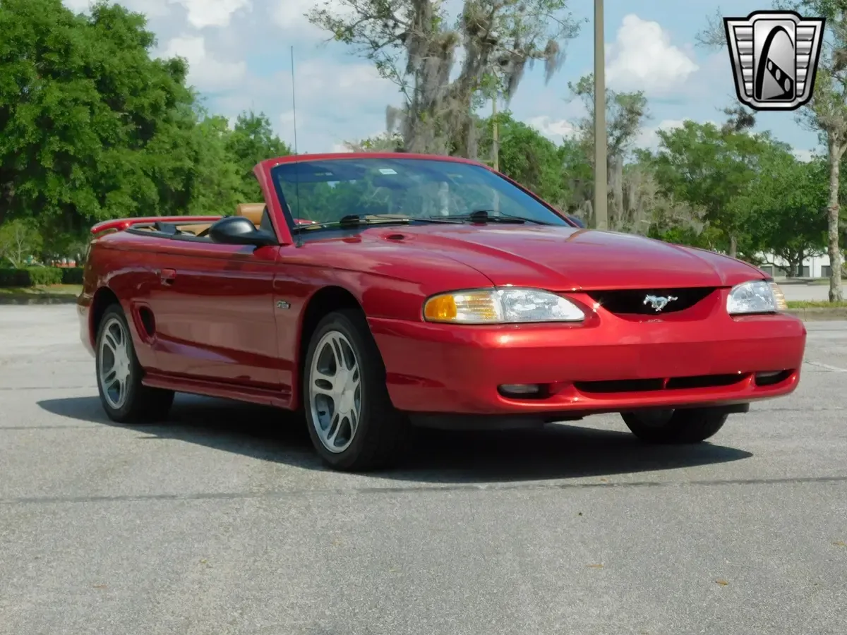 Carousel Image 9