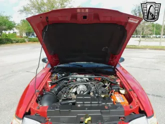 Mustang 21