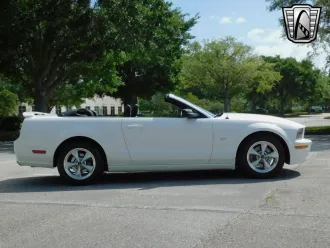 Mustang 8