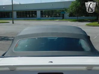 Mustang 14