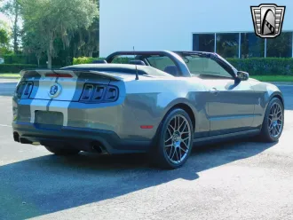 Mustang 5