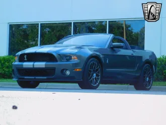 Mustang 10
