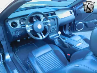 Mustang 11