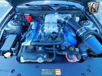 Mustang 19
