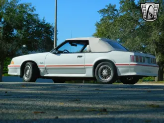 Mustang 3