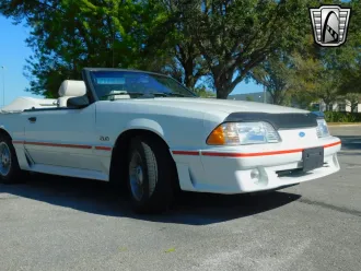 Mustang 12