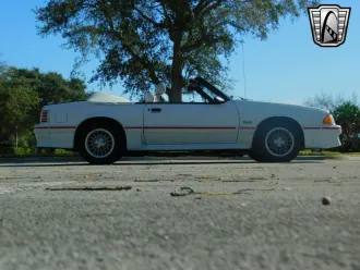 Mustang 18