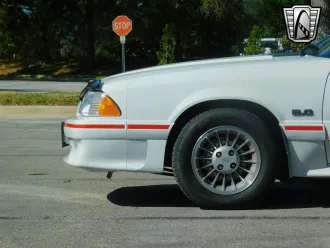 Mustang 19