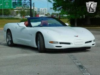 Corvette 7